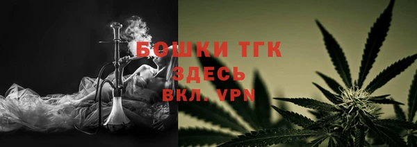 хмурый Белокуриха