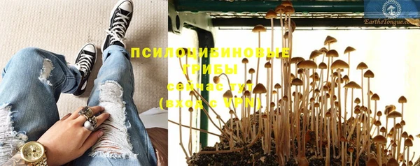 гашик Богородск