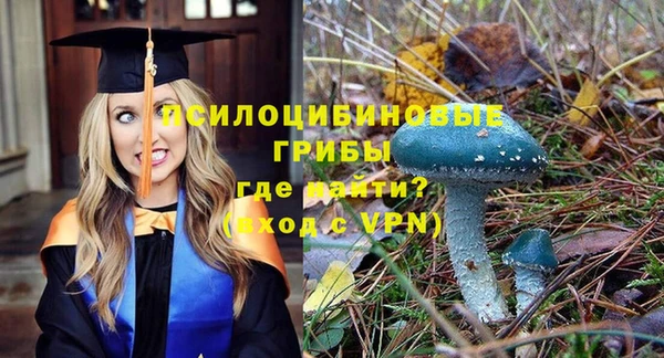 гашик Богородск