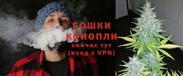 гашик Богородск